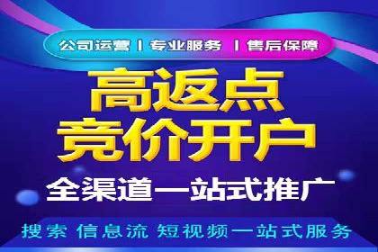 某品牌SEM广告投放的全程记录与效果分析